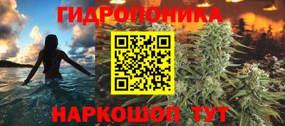 дурь Заводоуковск