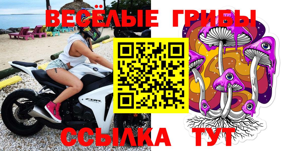 Псилоцибиновые грибы Cubensis Лангепас